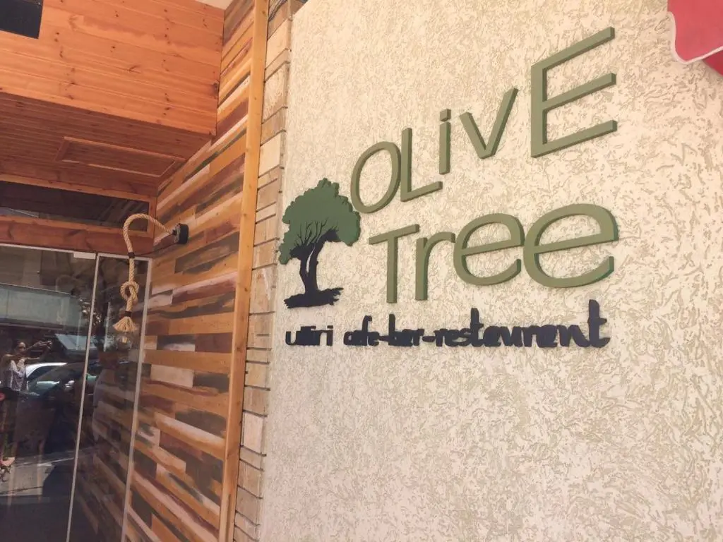 Olive Tree