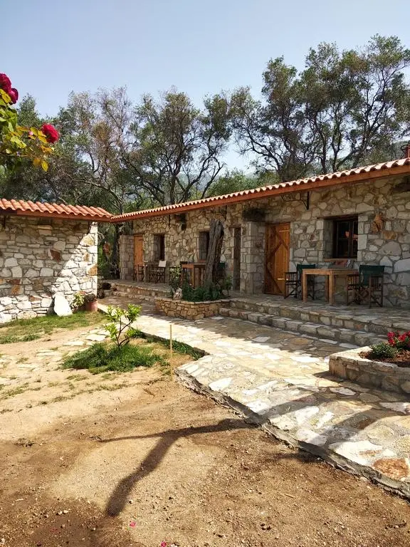 Filoxenia - The Place of Experience