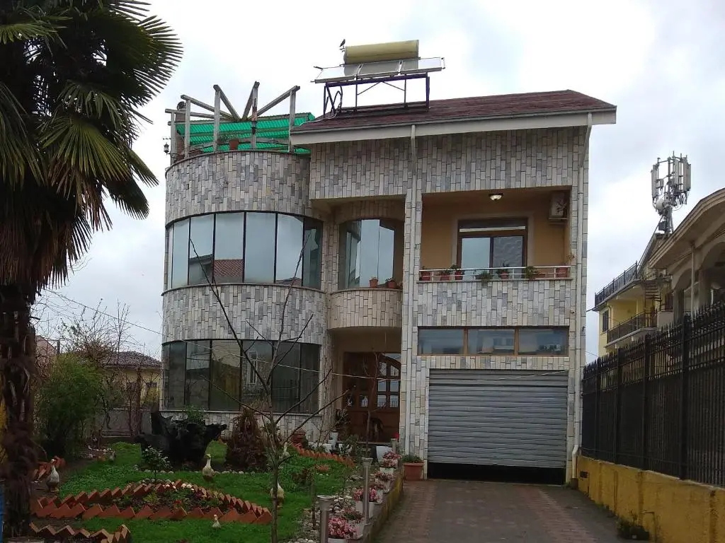 Shoshis House