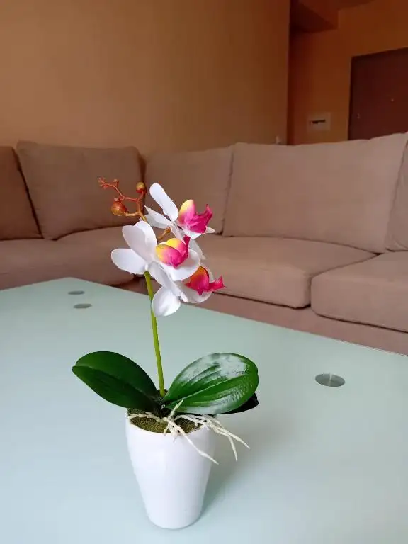 Vlore White Orchid Apartment