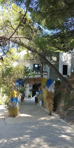 Resort Image