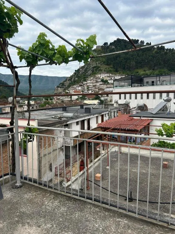 Flat in Berat's center