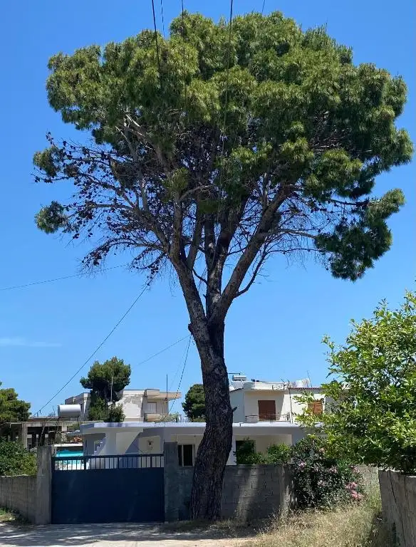 Cangollari Seaside Holiday House