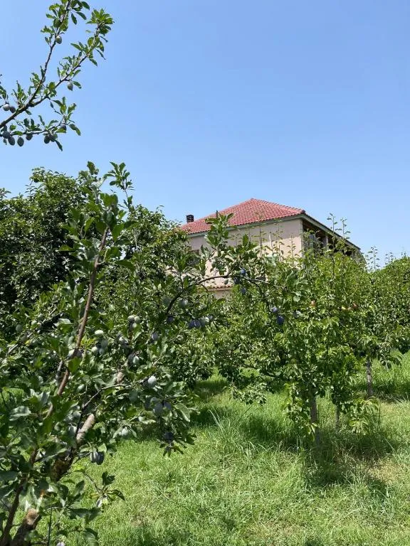 Villa Mance 