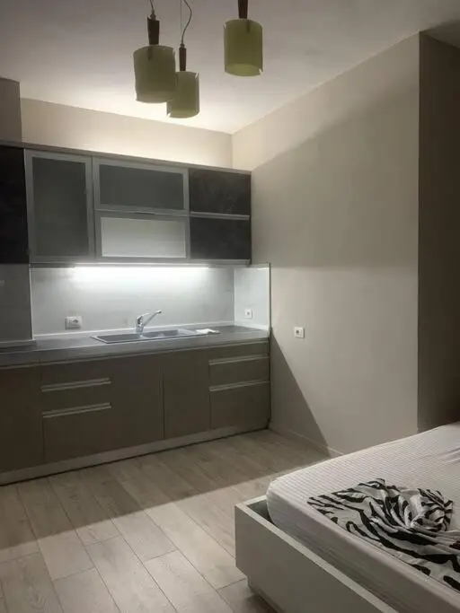 1-bedroom rental unit
