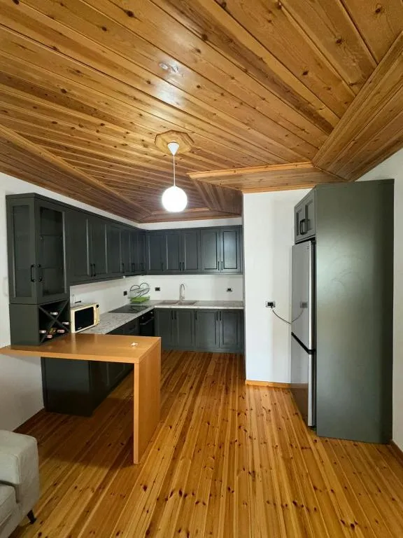 Central Apartment Gjirokaster