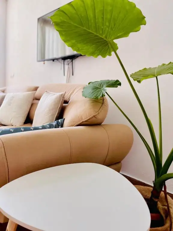 Mia Luxury apartments