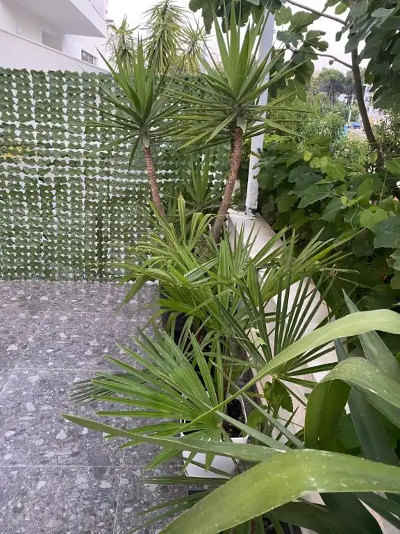 Premium Apartament , Golem