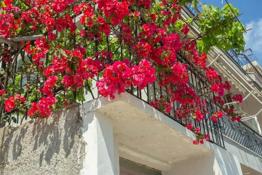 Blue Maraçi 4 - Beach Access, Simple Room 