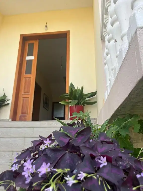 Residence Domus Aurea