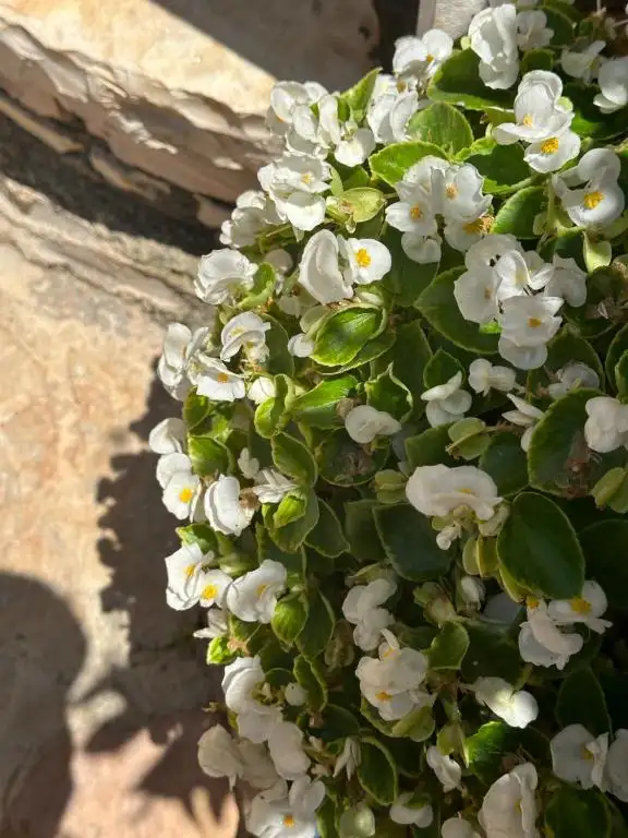 Panoramic Views of Saranda