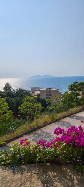 Deda's Summer Apartments 
