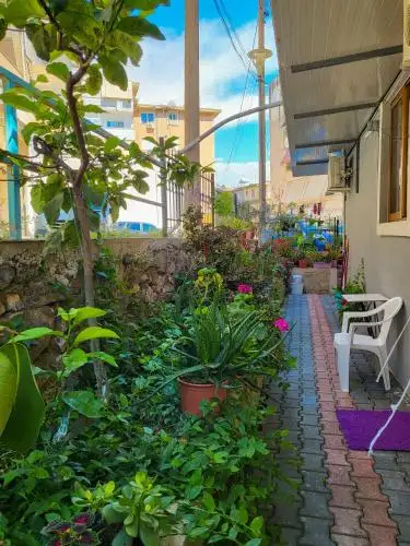 Hidden Garden Escape